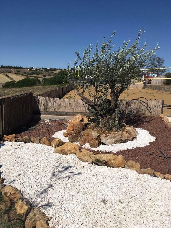 Finca Andalucia Conil de la Frontera Kültér fotó