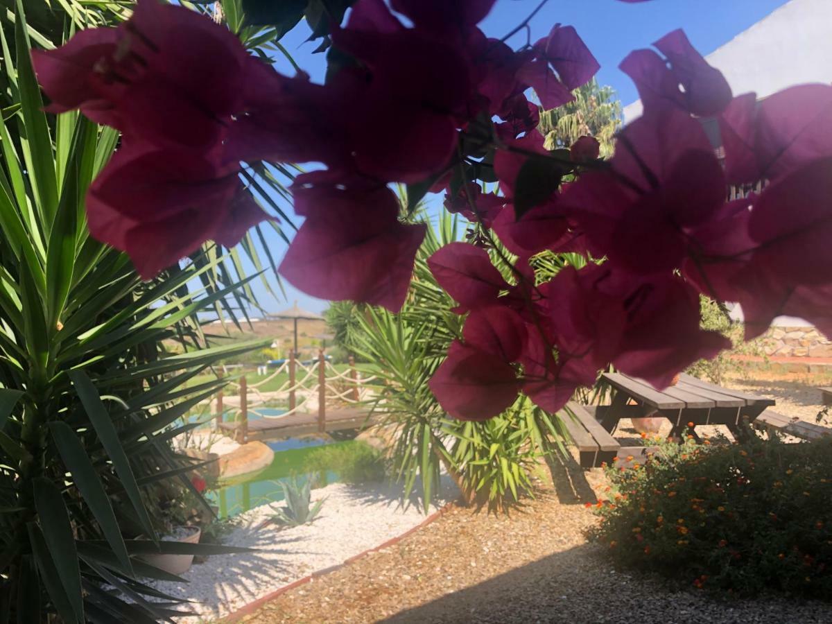 Finca Andalucia Conil de la Frontera Kültér fotó