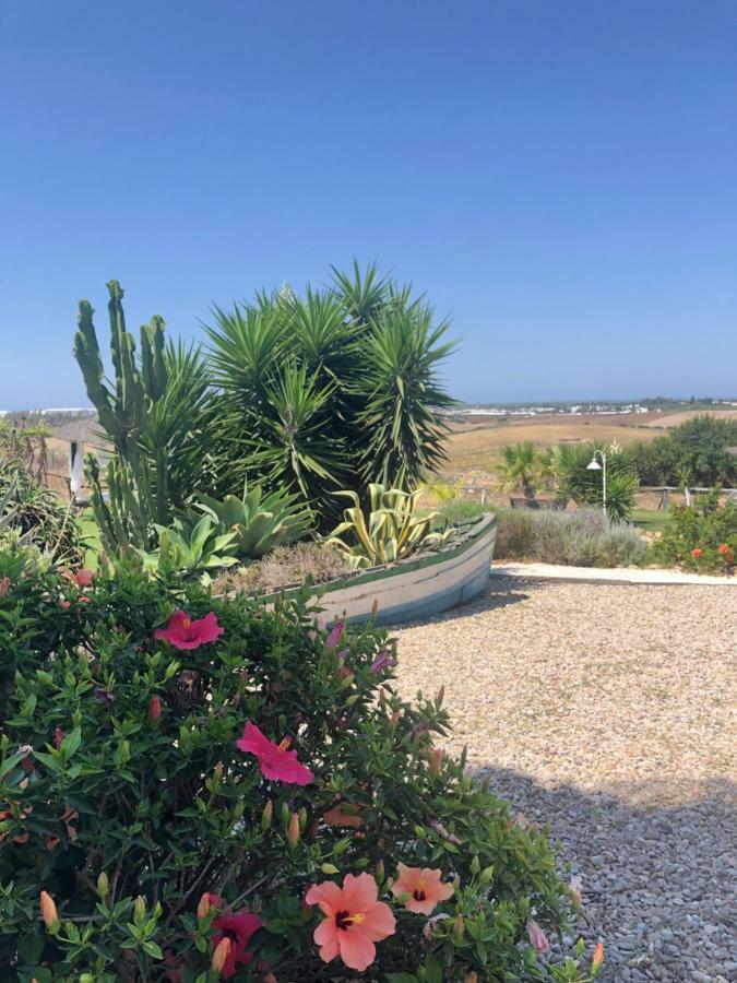 Finca Andalucia Conil de la Frontera Kültér fotó